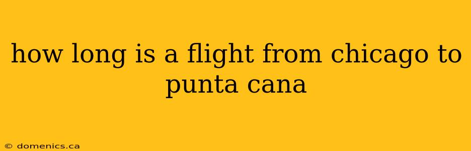 how long is a flight from chicago to punta cana