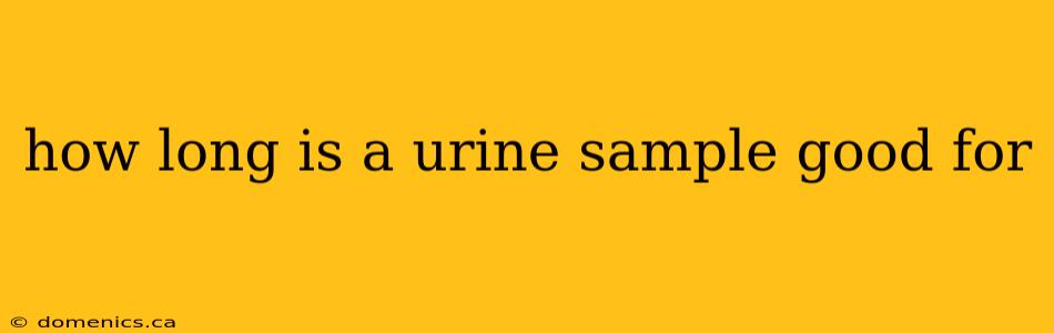 how long is a urine sample good for