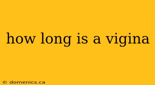 how long is a vigina