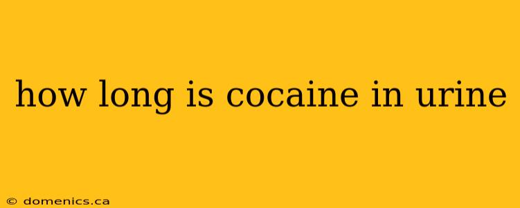 how long is cocaine in urine