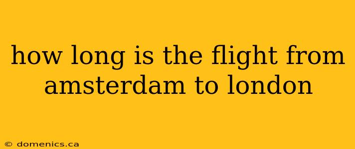 how long is the flight from amsterdam to london