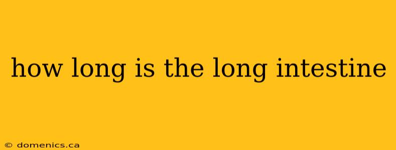 how long is the long intestine