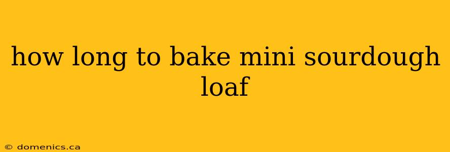 how long to bake mini sourdough loaf