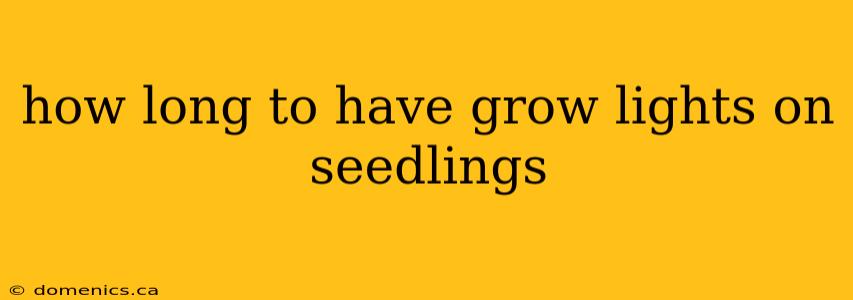 how long to have grow lights on seedlings