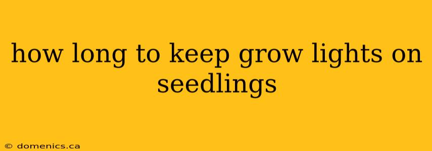 how long to keep grow lights on seedlings