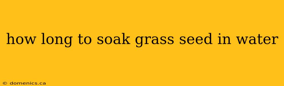 how long to soak grass seed in water