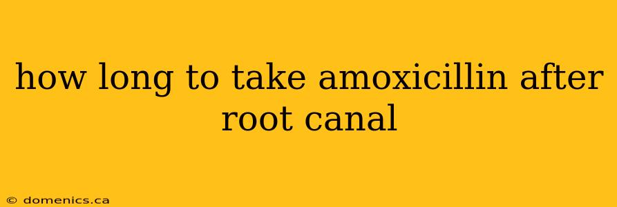 how long to take amoxicillin after root canal