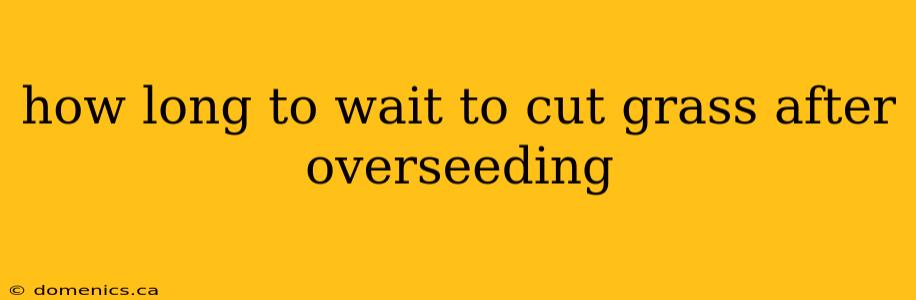 how long to wait to cut grass after overseeding