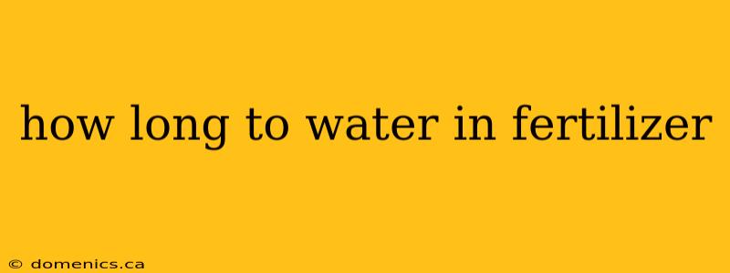 how long to water in fertilizer