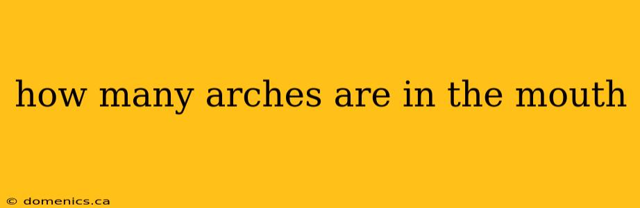 how many arches are in the mouth