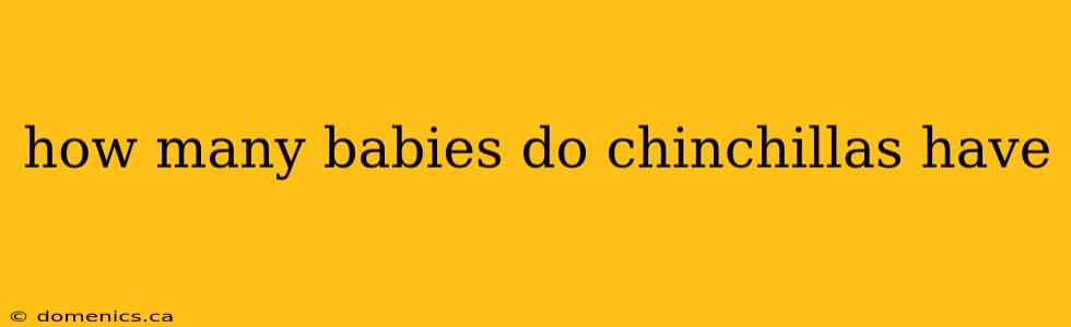 how many babies do chinchillas have