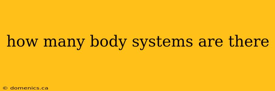 how many body systems are there