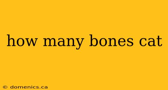 how many bones cat