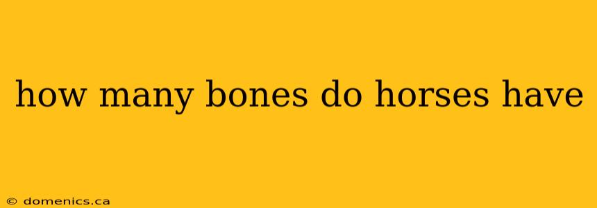 how many bones do horses have