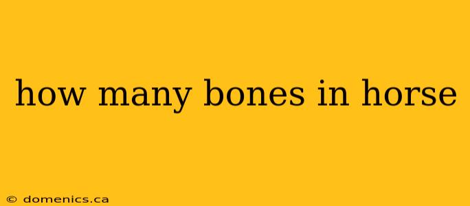 how many bones in horse