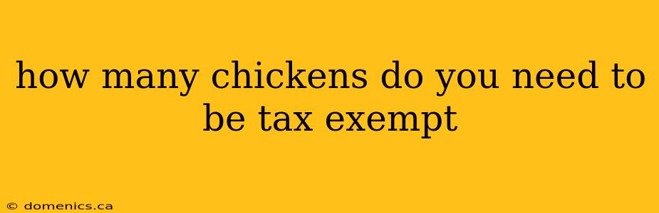 how many chickens do you need to be tax exempt