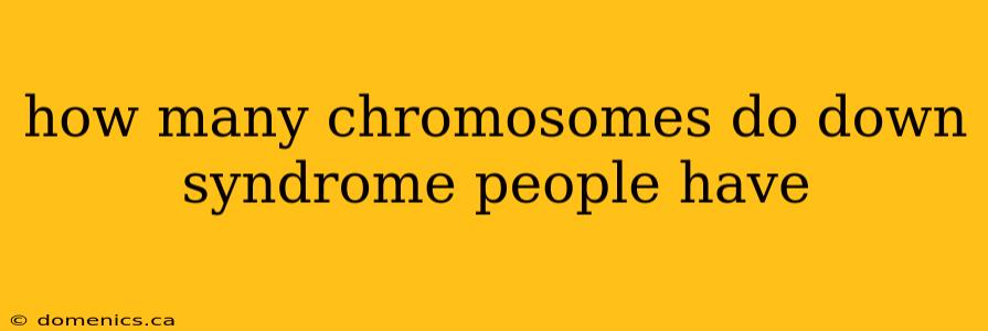 how many chromosomes do down syndrome people have