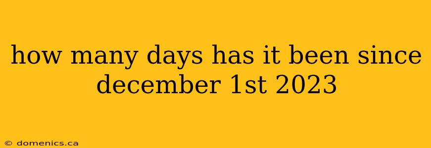 how many days has it been since december 1st 2023