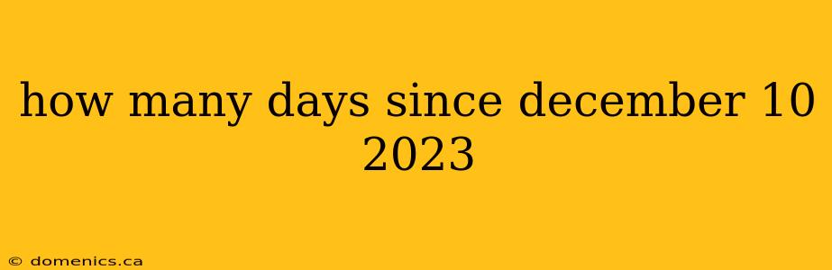 how many days since december 10 2023