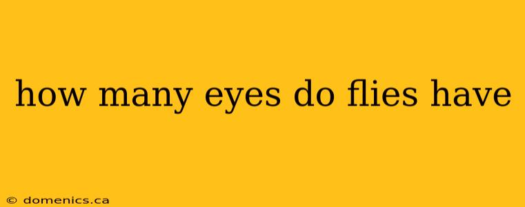 how many eyes do flies have