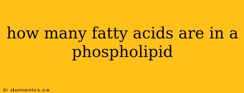 how many fatty acids are in a phospholipid