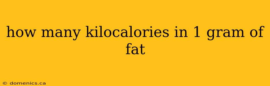 how many kilocalories in 1 gram of fat