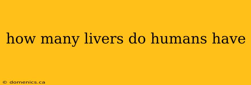 how many livers do humans have