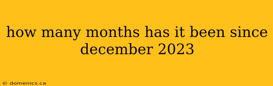 how many months has it been since december 2023