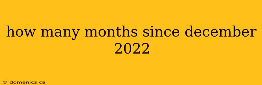 how many months since december 2022