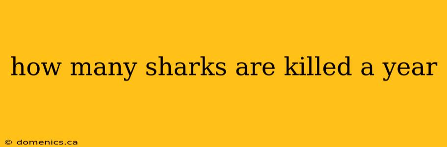 how many sharks are killed a year