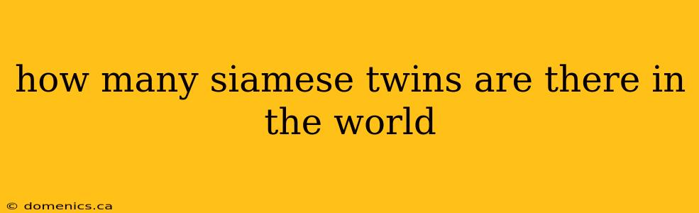 how many siamese twins are there in the world