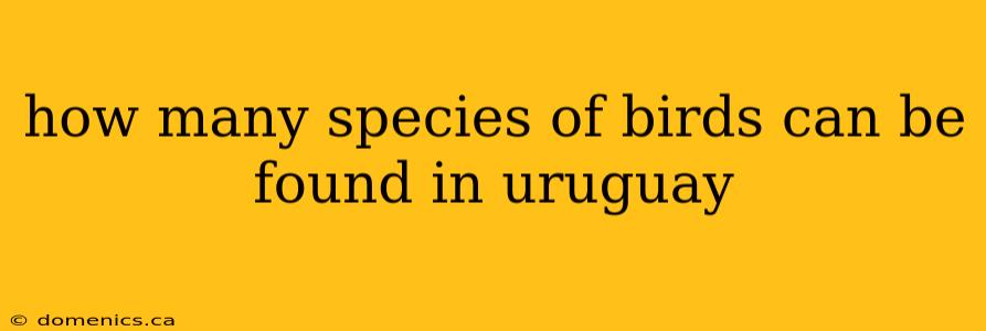 how many species of birds can be found in uruguay