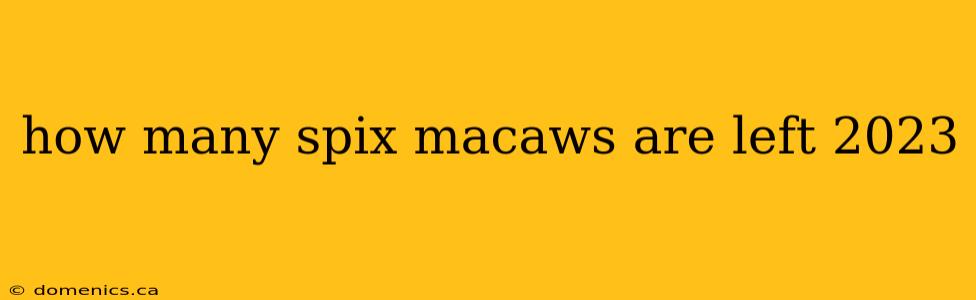 how many spix macaws are left 2023