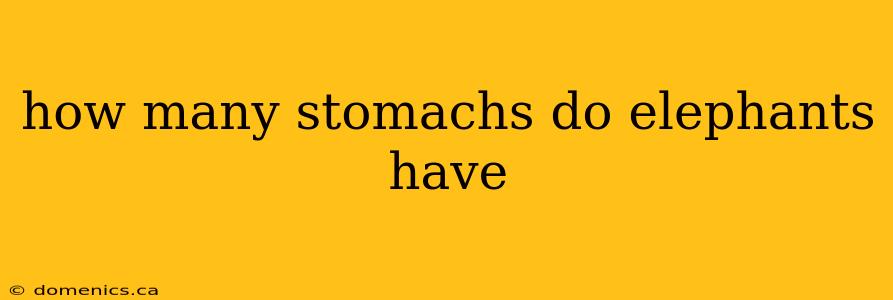 how many stomachs do elephants have