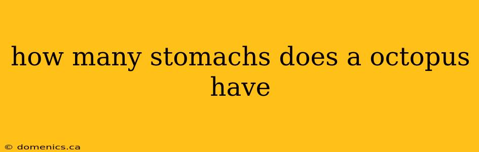 how many stomachs does a octopus have