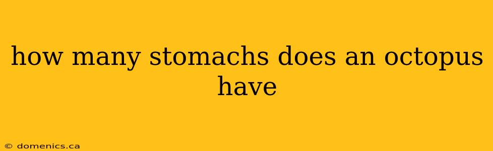 how many stomachs does an octopus have