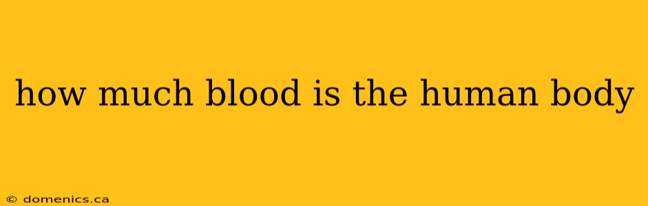 how much blood is the human body