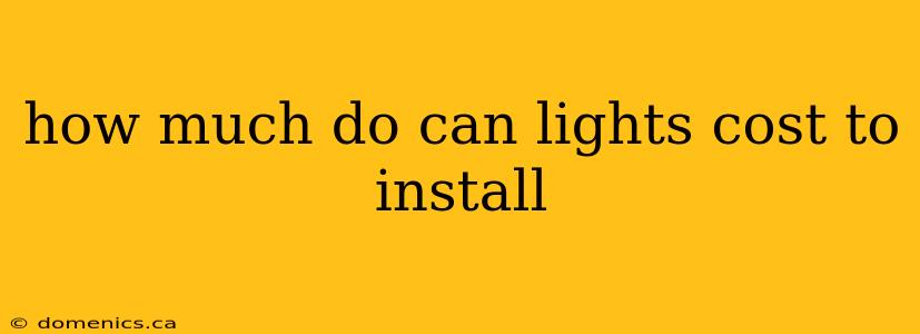 how much do can lights cost to install