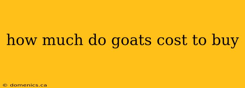 how much do goats cost to buy