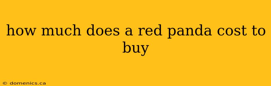 how much does a red panda cost to buy