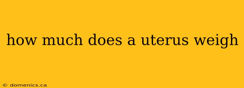 how much does a uterus weigh