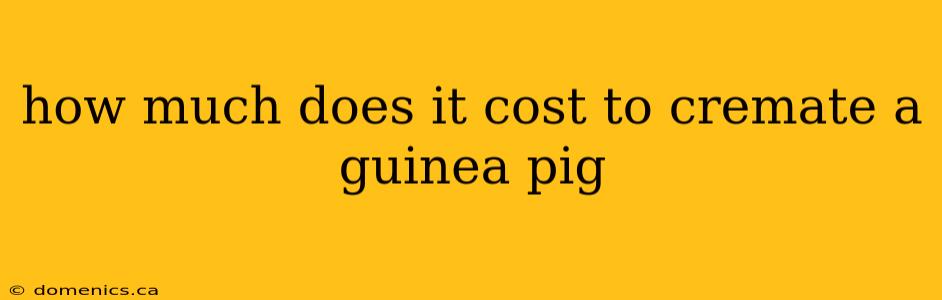 how much does it cost to cremate a guinea pig