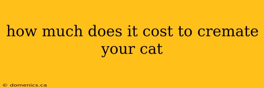 how much does it cost to cremate your cat