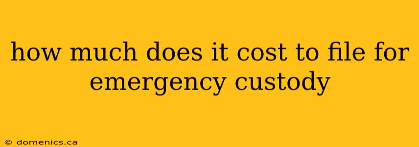 how much does it cost to file for emergency custody