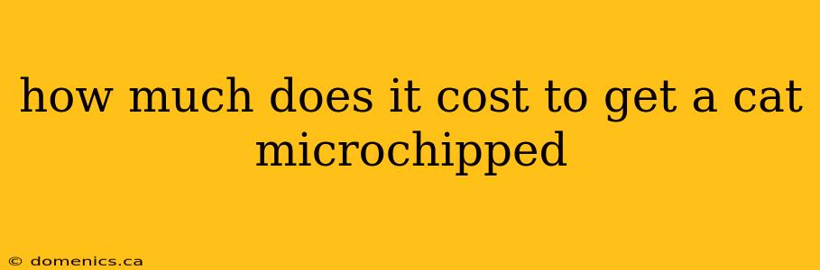 how much does it cost to get a cat microchipped