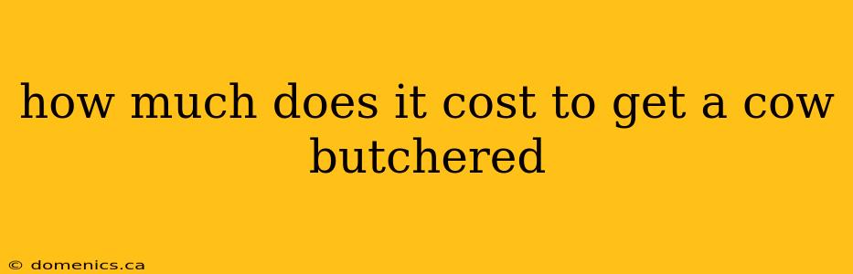 how much does it cost to get a cow butchered