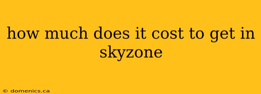 how much does it cost to get in skyzone