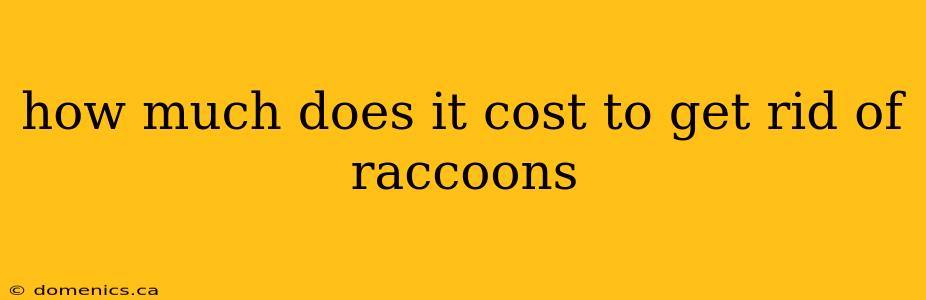 how much does it cost to get rid of raccoons