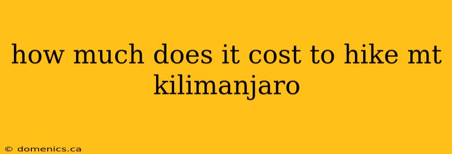 how much does it cost to hike mt kilimanjaro