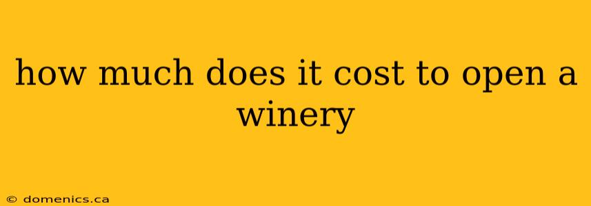 how much does it cost to open a winery